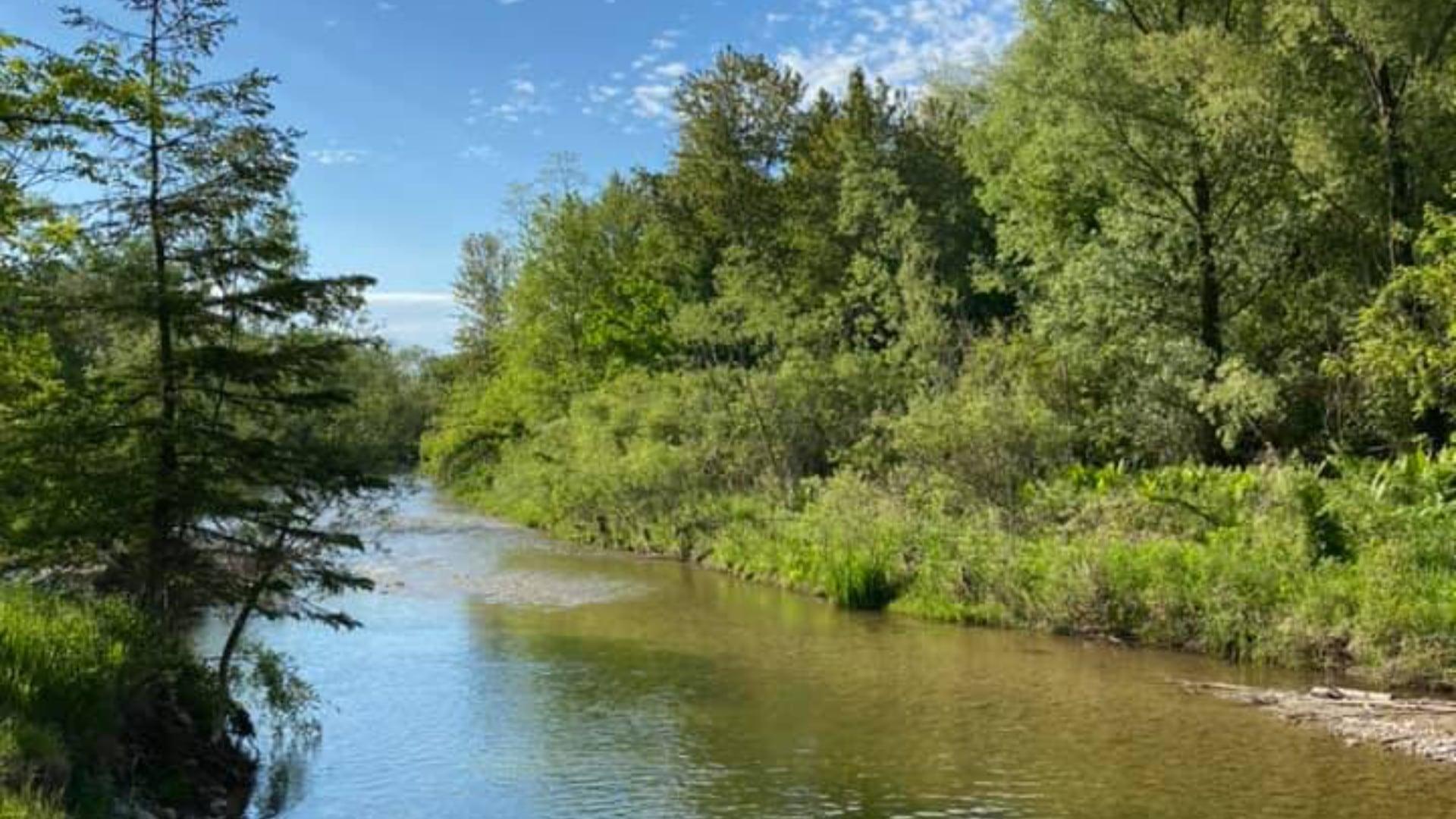 Carruthers Conservation Area Closed for Bank Stabilization September 5 to 19, 2023